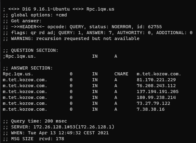 DNS 记录快速和定期更改的示例